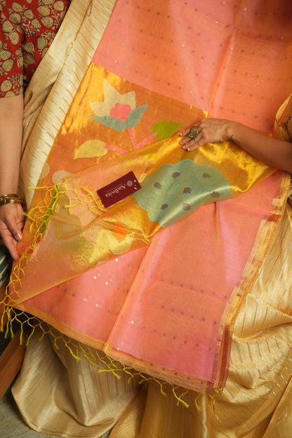 Muslin Silk Sare