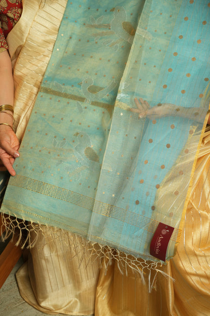 Muslin Saree
